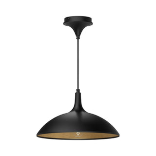 Abel 14 in Pendant

