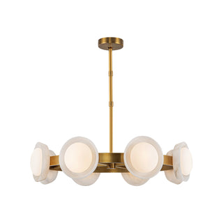 Alonso 37 in Chandelier
