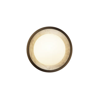 Alonso 8 in Wall/Vanity Light
