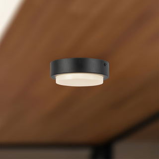 Bailey 5 in Exterior Ceiling
