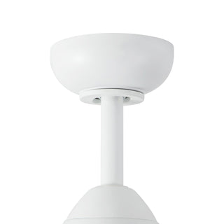 CF77860 WH
