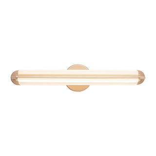 Brume 23 in Brushed Gold Dimmable LED Vanity Light
