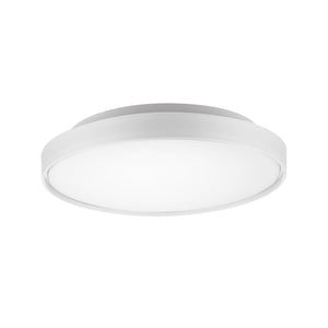 White [5 Selectable Color Temperatures]