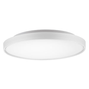 White [5 Selectable Color Temperatures]