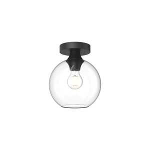 Clear Glass/Matte Black