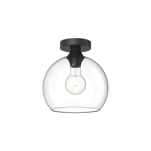 Clear Glass/Matte Black