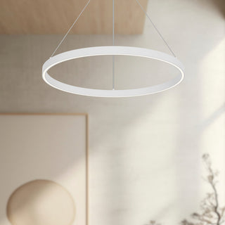 PD87124 WH UNV 010
