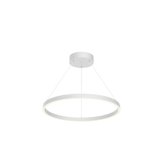 PD87124 WH
