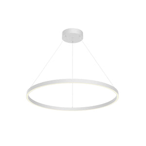 White [Universal Voltage and 0-10 Dimming]