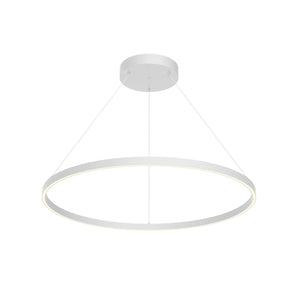 White [Universal Voltage and 0-10 Dimming]