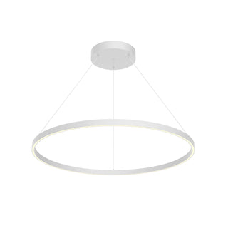 PD87136 WH UNV 010
