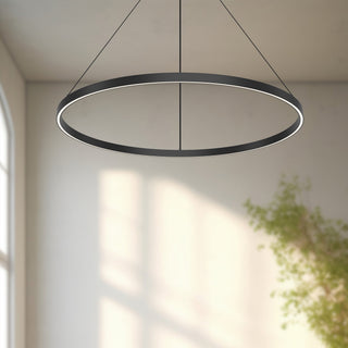 PD87736 BK
