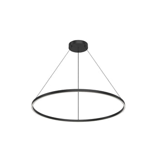 PD87748 BK
