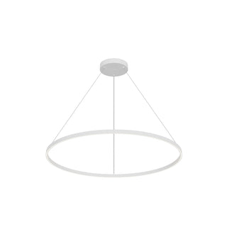 PD87748 WH UNV 010
