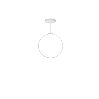 Cirque 24 in Pendant
