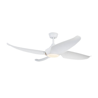 CF90955 WH
