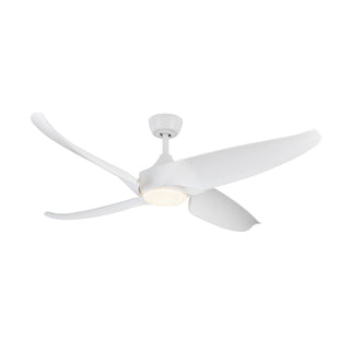 CF90955 WH
