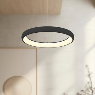 PD82724 BK
