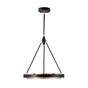 Classic Black/Gold Shimmer [Universal Voltage and 0-10 Dimming]