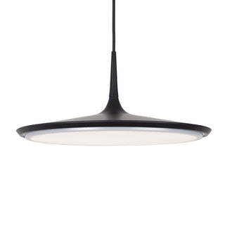 Disc 16 in Pendant
