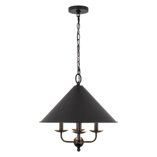 Edelson 18 in Black Pendant
