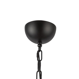 CH558427MBOP
