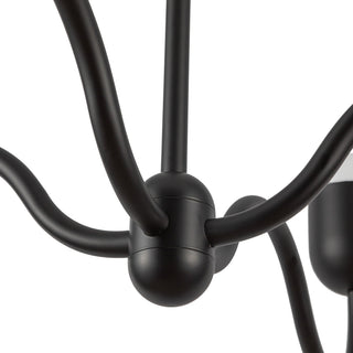 CH558439MBOP
