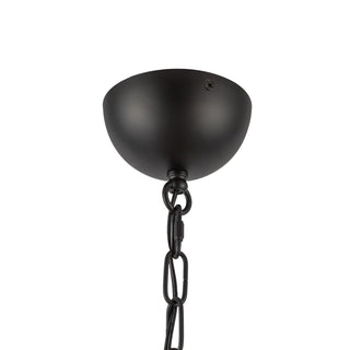 CH558439MBOP

