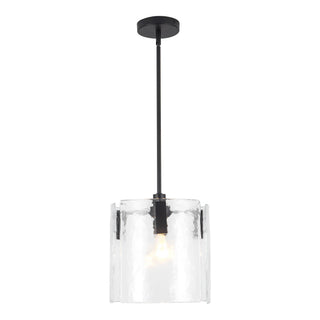 Eira 12 in Black Pendant with Clear Water Glass
