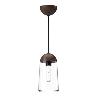 Emil 6 in Pendant
