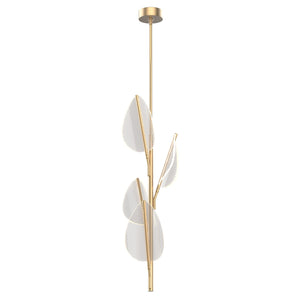 Natural Brass