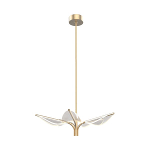 Natural Brass