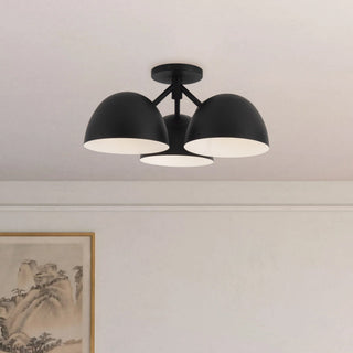 SF13317 BK
