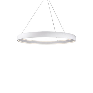 White [Universal Voltage and 0-10 Dimming]