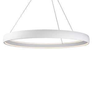 White [Universal Voltage and 0-10 Dimming]