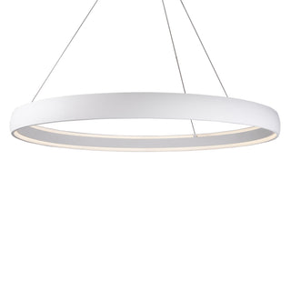 Halo 72 in Pendant
