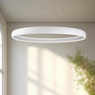 PD22772 WH

