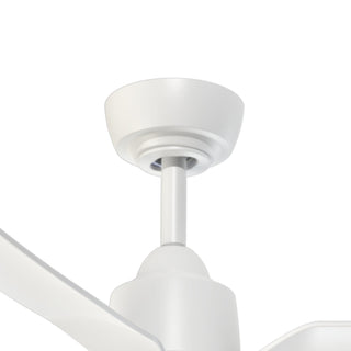 CF92942 WH

