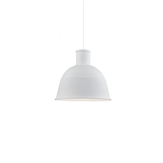 Irving 16 in Pendant
