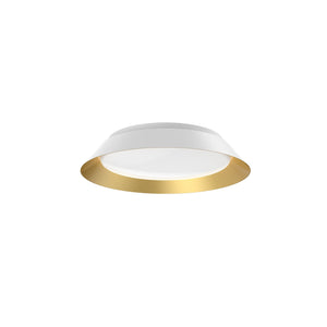 White/Gold