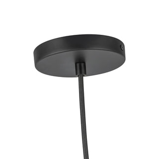 PD34212 BKOP
