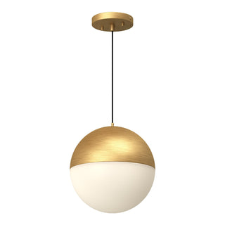 PD11710 BG
