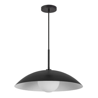 PD56019 BK
