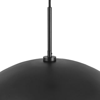 PD56019 BK
