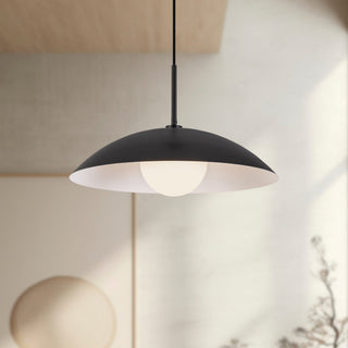 PD56019 BK

