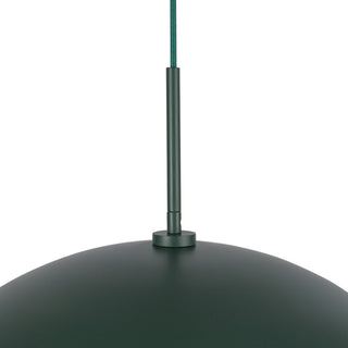 PD56019 PGN
