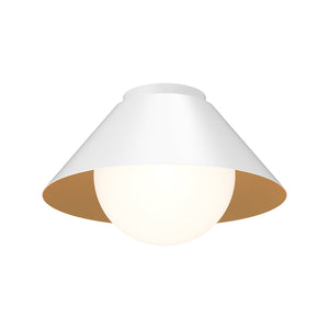 White/Opal Glass