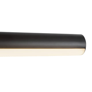 Slender 18 in Black Dimmable LED Wall/Picture Light
