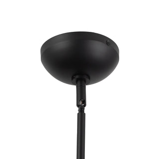 Springfield 19 in Black Pendant with Brushed Gold Accents
