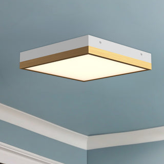 Sydney 11 in Flush Mount
